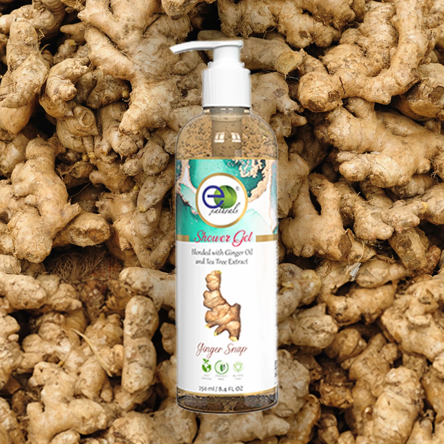 Ginger Snap Shower Gel with Free Loofah (250ml)